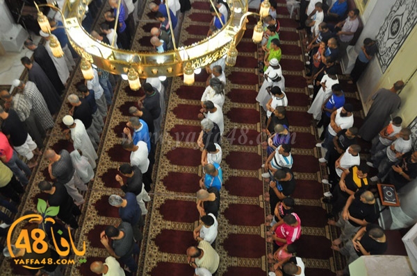 tarawee7 salah nozha (15).JPG